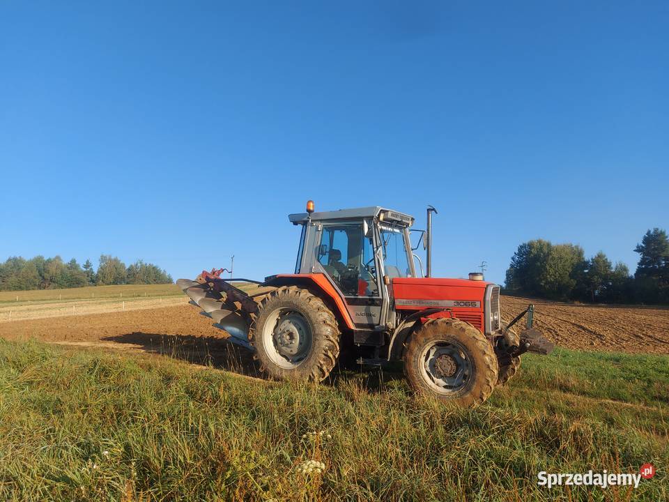Massey ferguson 3065 Lipnica Wielka