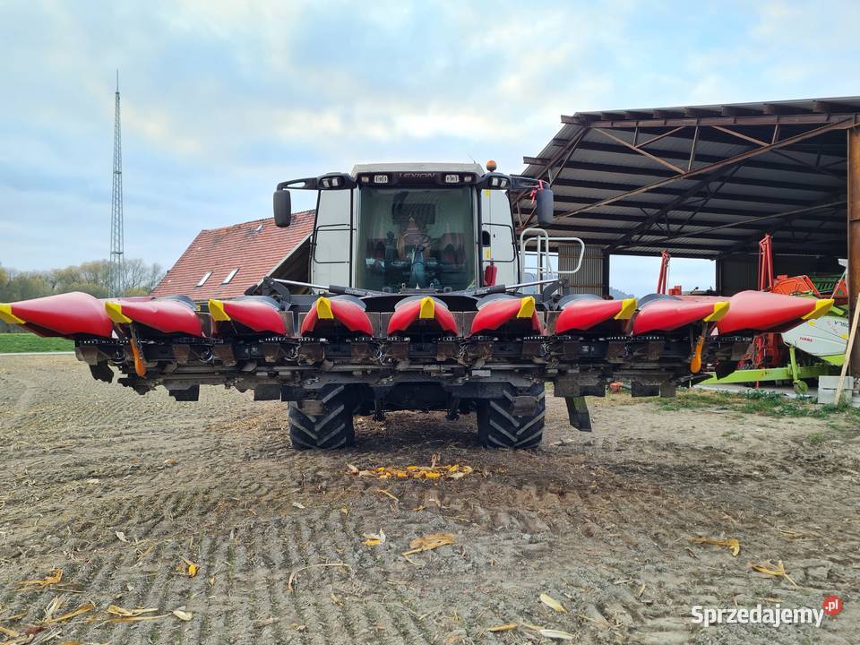 Przystawka do kukurydzy 8 rzędowa geringhoff 8 Branice