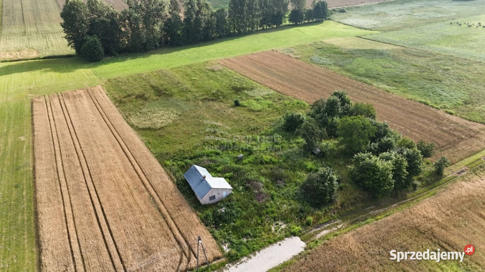 Sprzedam siedlisko w Bożej Woli gm Adamów lubelskie Boża Wola sprzedam