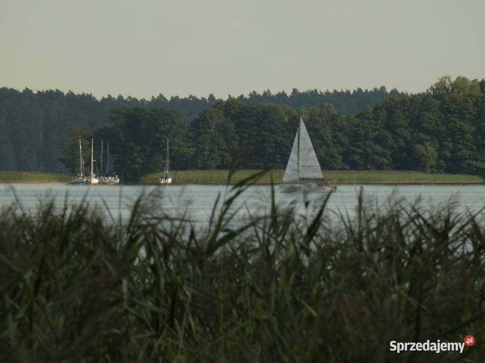 sprzedam domek holendreka na wyspie Bukowiec Wieprz sprzedam