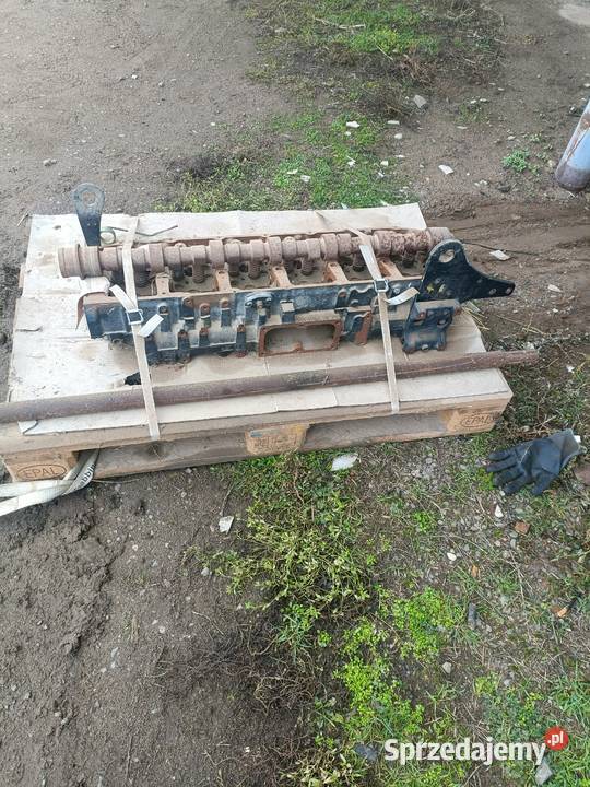 Głowica case magnum wielkopolskie Leszno
