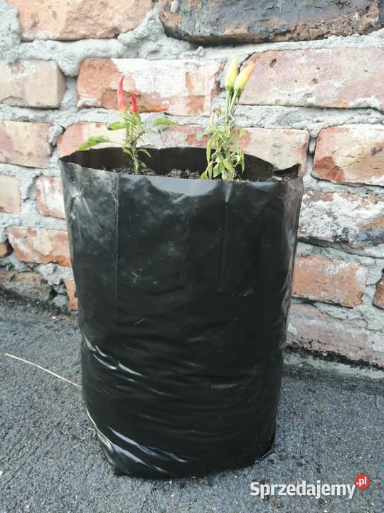 Doniczki foliowe 10L produkcyjne PRODUCENT Pozostałe Siewierz sprzedam