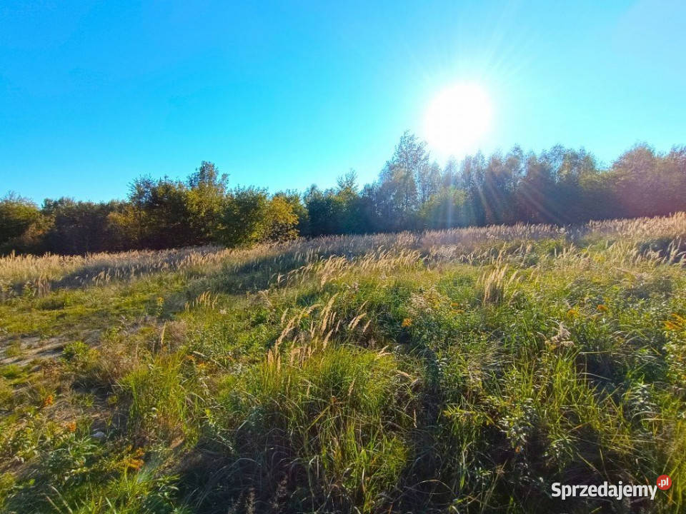 Działka 265m2 Kielce 33m