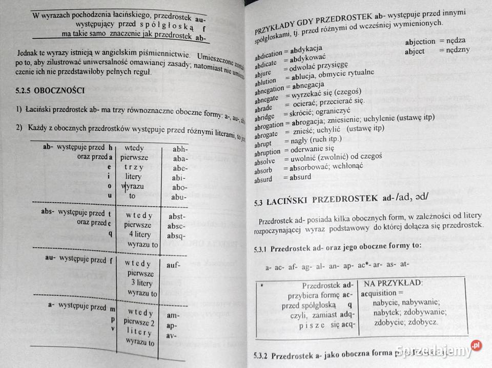 Uzasadnienie pisowni angielskiej Mario Li Ulfe