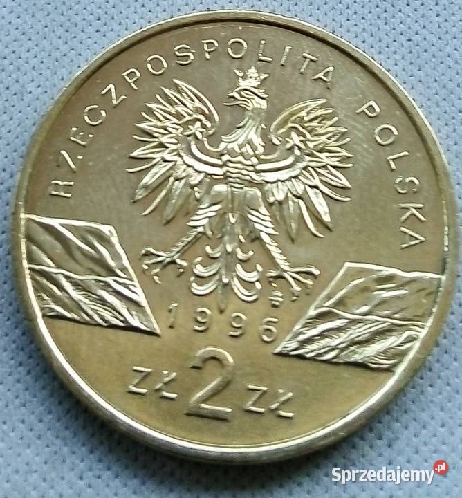POLSKA2 1996 r GNJEŻ ŁADNA Legionowo