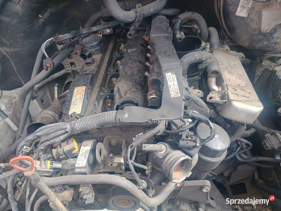 Silnik Mercedes sprinter 22 cdi 651uszkodzony Bełżyce