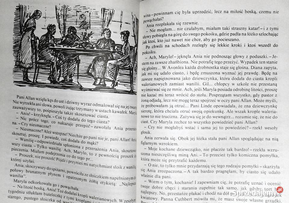 Ania z Zielonego Wzgórza Lucy Maud Montgomery Pozostałe Chełm