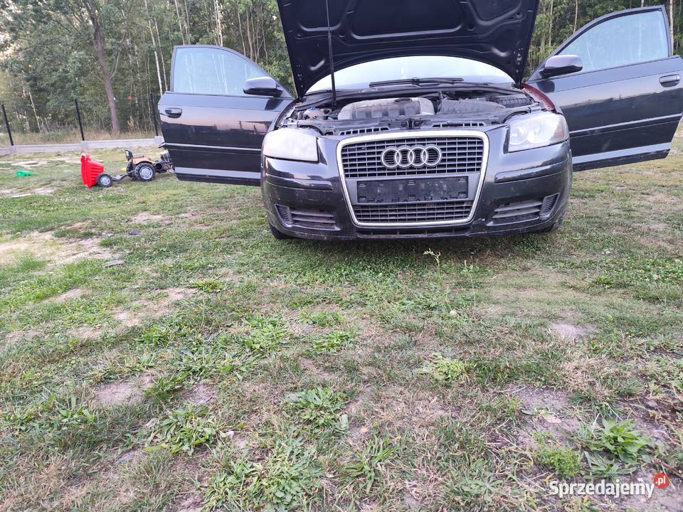 Audi a3 8p 19 silnik skrzynia inne świętokrzyskie Strawczyn