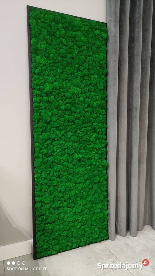 Obraz Mech Chrobotek Rama Czarna 120x40 Częstochowa