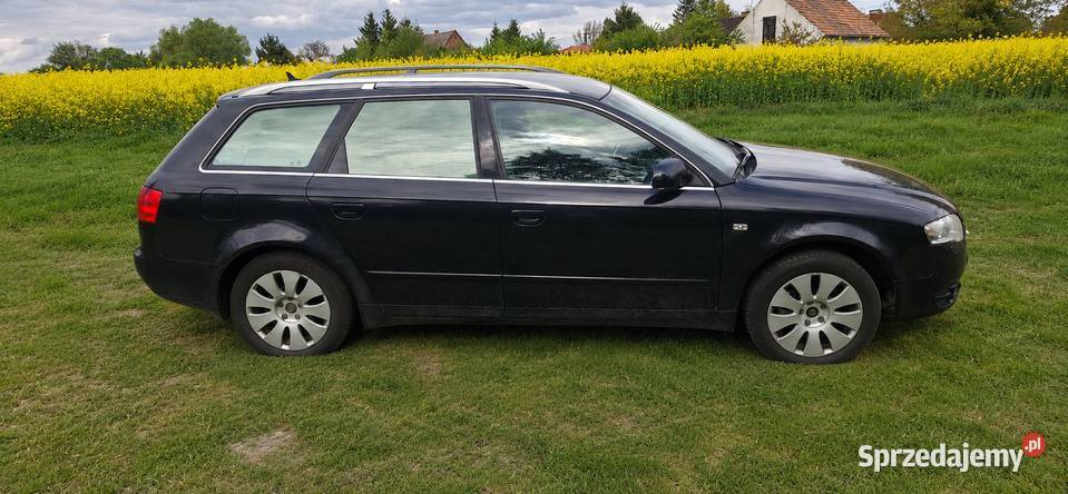 Audi a4 b7 Bagienica
