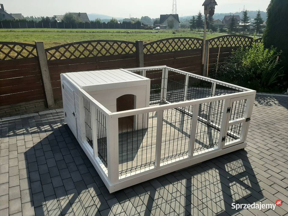Buda psa Kojec schowek Jordanów sprzedam
