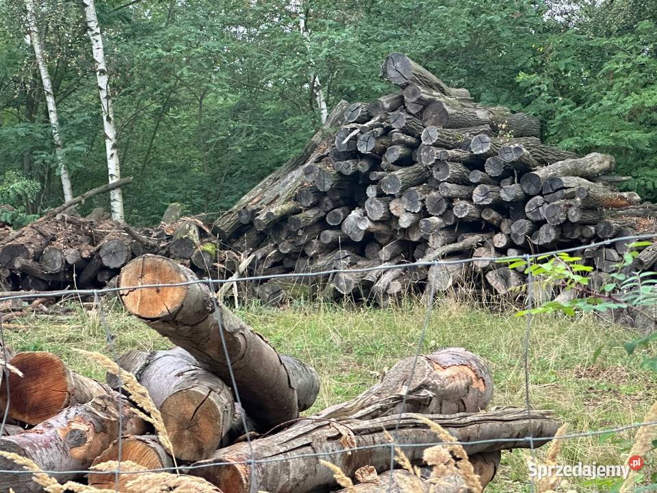 Drewno opałowe Kamieniec Ząbkowicki