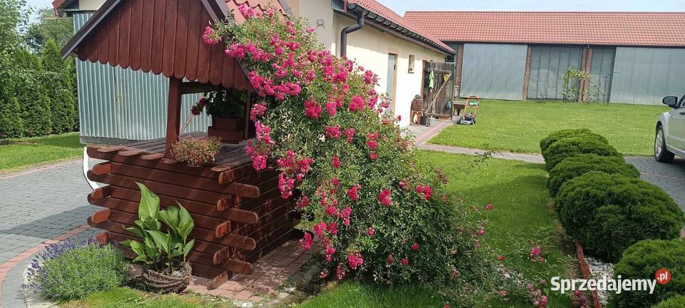 Sprzedam DOM z budynkami 1 piętro Hrubieszów
