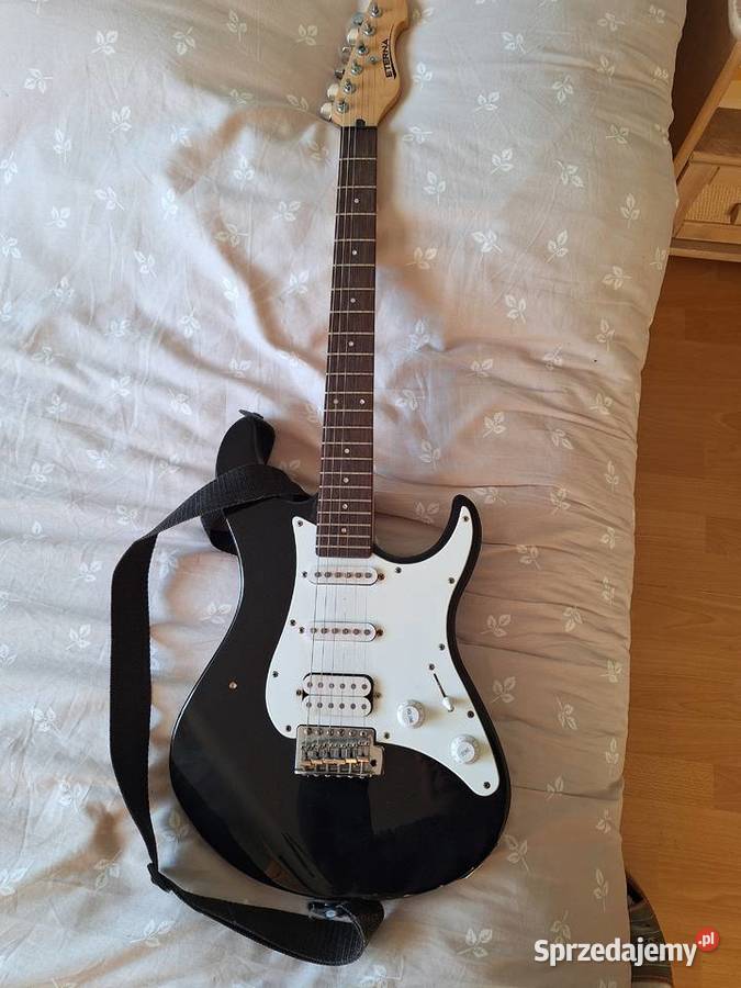 Sprzedam gitarę i piecyk Andrespol