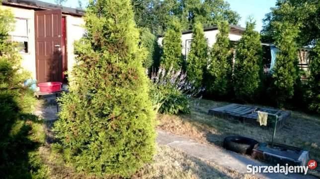 Dzialka ROD Hutnik Częstochowa sprzedam