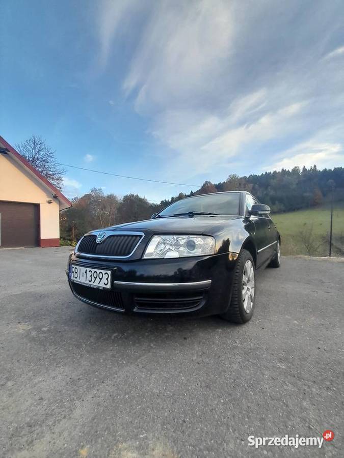 Sprzedam pięknego superba Krosno