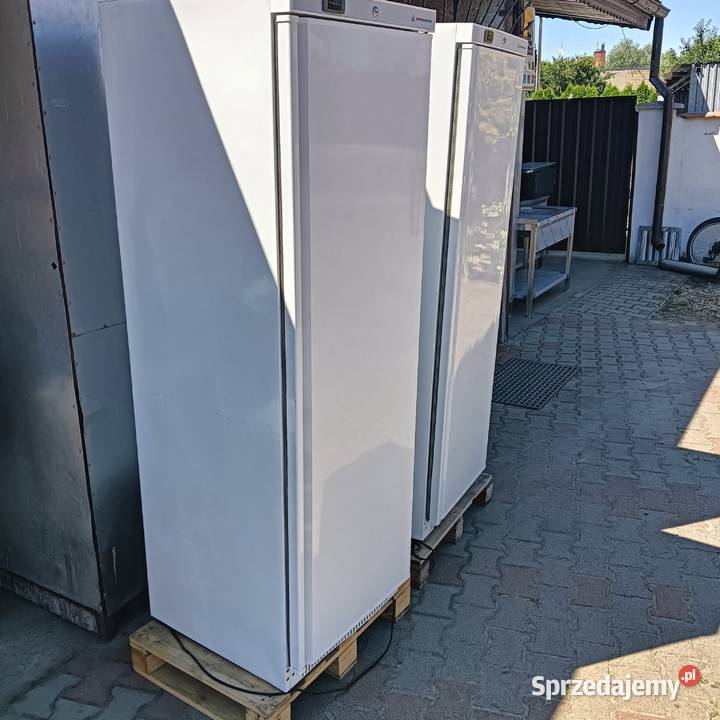 Szafa chłodnicza jednodrzwiowa 60x60x180 stan