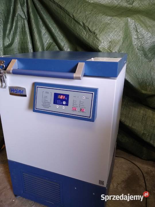 haier ultra low temperature freezer Warszawa