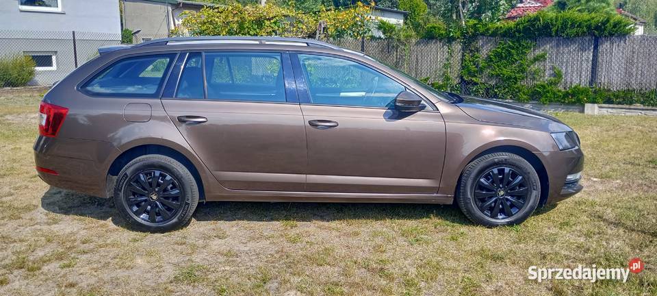 Skoda Octavia III 16 TDI 115 2019 Mega Auto Radomsko