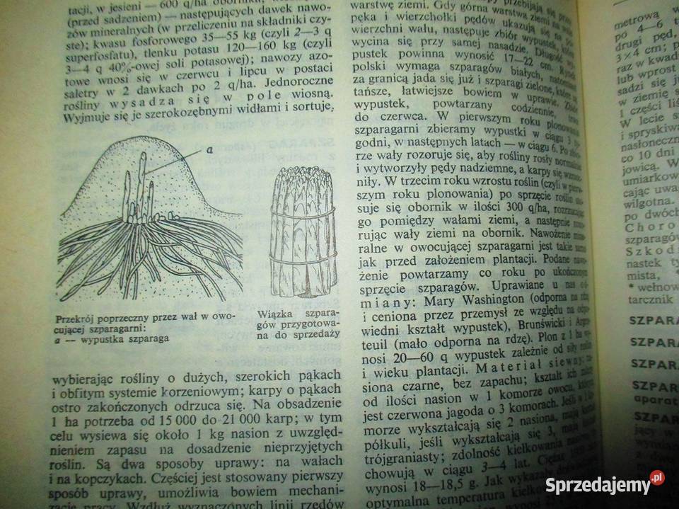 Mała encyklopedia rolnicza rolnictworosliny sprzedam