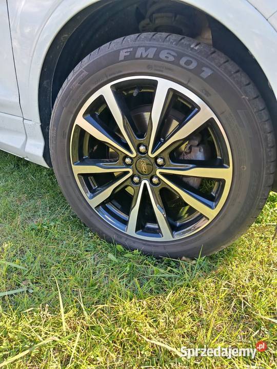 Ford Kuga Stline