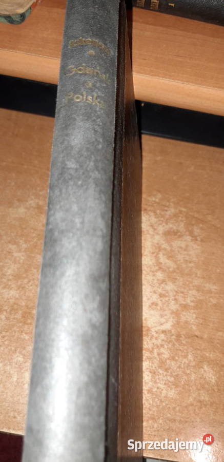 GDAŃSK A POLSKA SZ ASKENAZY 1923 OPR ILUSTR STAN Antykwariat Iwno