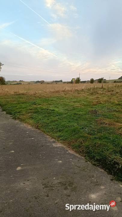 Działka budowlana Rząsiny gm Gryfów Śląski 1000m2