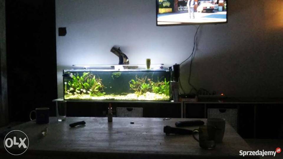 Zestaw akwarystyczny Poznań Zwierzęta