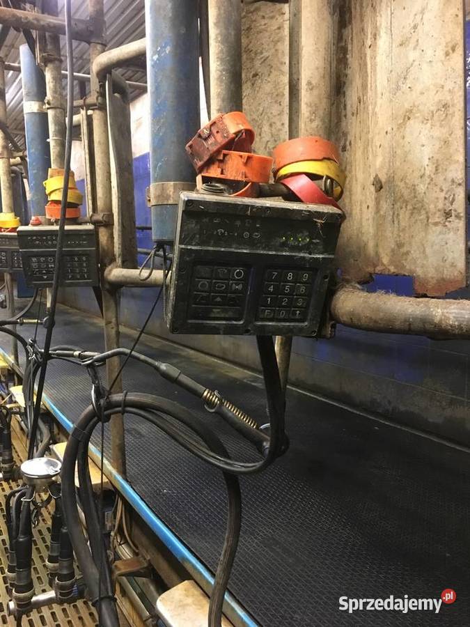 Dojarnia rybia ość 2x9 lubelskie Modliborzyce