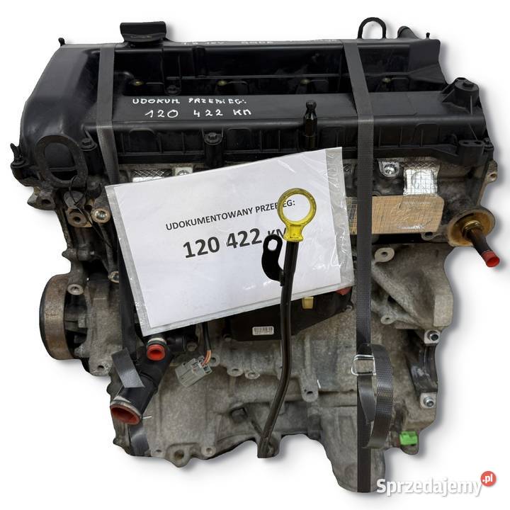 SILNIK QQDB Ford Focus II MK2 C C 18 16V 125 lubelskie Chełm sprzedam