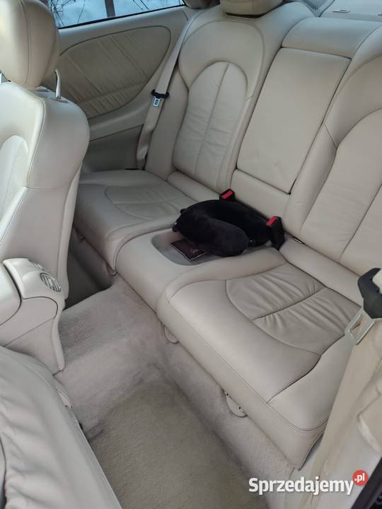 Mercedes CLK 350 Evolution AMG CLK sprzedam
