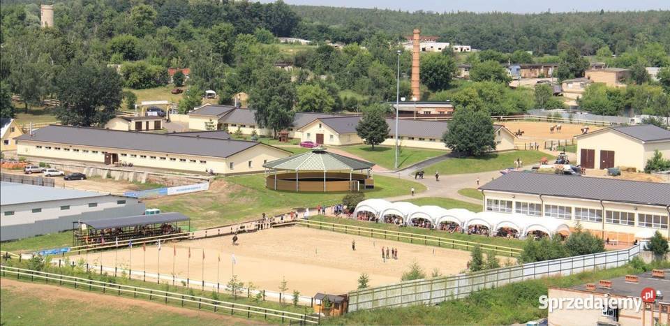 Lonżownik Ujeżdżalnia Karuzela 10m 15m 21M Pabianice sprzedam