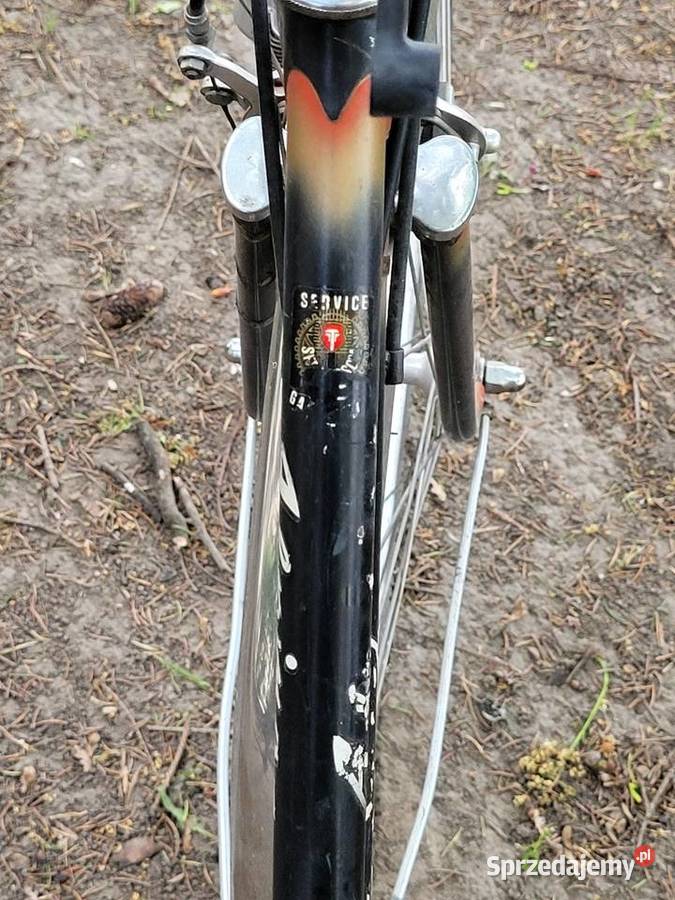 Rower miejski Alpina podkarpackie sprzedam