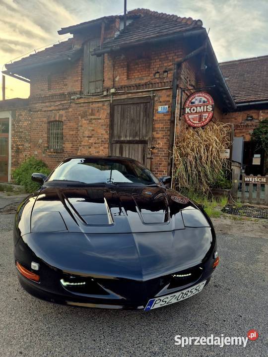 Pontiac Firebird Chevrolet Camaro sprowadzony