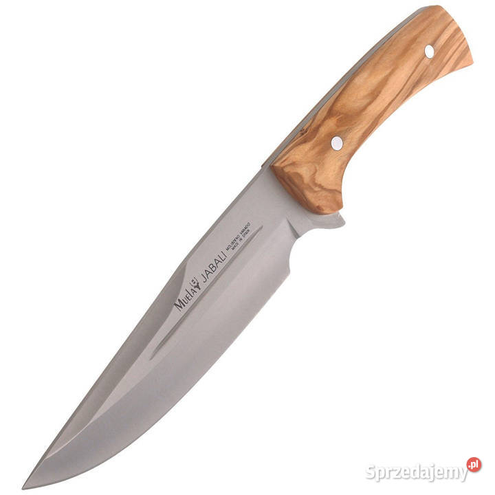 Nóż Muela Full Tang Olive Wood Satin X50CrMoV15 Warszawa