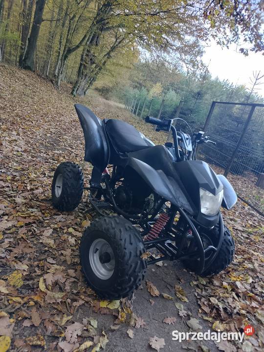 Quad Bashan 125