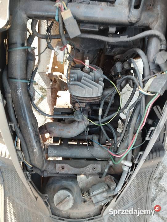 PANNONIA PANONIA chorągiewki