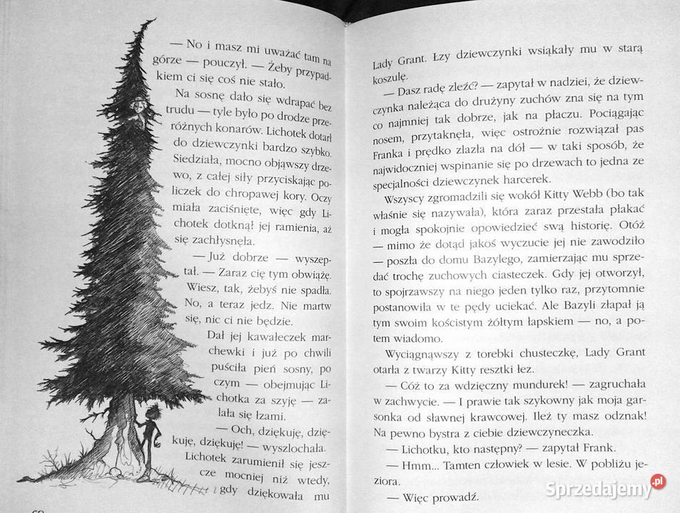 Lichotek i czarnoksiężnik Ian Ogilvy lubelskie sprzedam