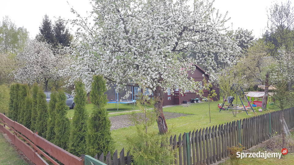 Działka rekreacyjna ROD UROCZYSKO 100zł/m2 Białystok sprzedam