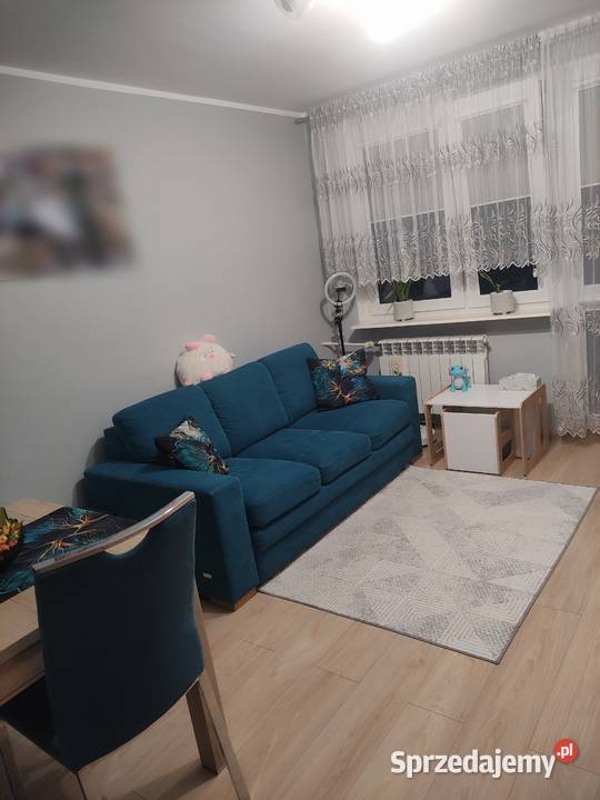 Mieszkanie 47m2 umeblowane gotowe do parter Sprzedaż Działdowo
