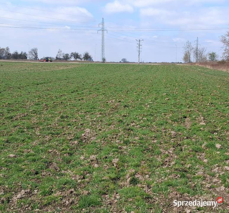 Inwestora Panattoni Park Żory dojazd asfaltowy śląskie