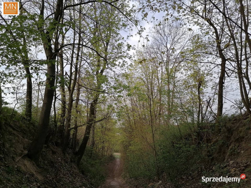 Grunt Łuczyce 700m2 kanalizacja