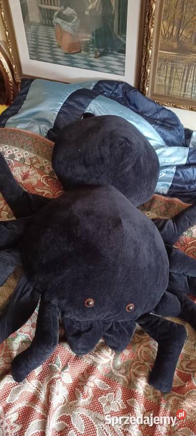 MASKOTA OLBRZYMI PAJĄK MIĘKKA CZYSTA OCZY Maskotki Poznań sprzedam