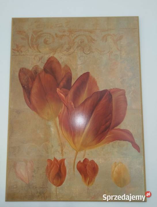 Obraz ścienny kwiaty reprodukcja wystrój wnętrza zachodniopomorskie Kołobrzeg