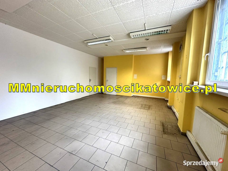 Magazyny do wynajęcia Sosnowiec do 4000 m2 rampy śląskie