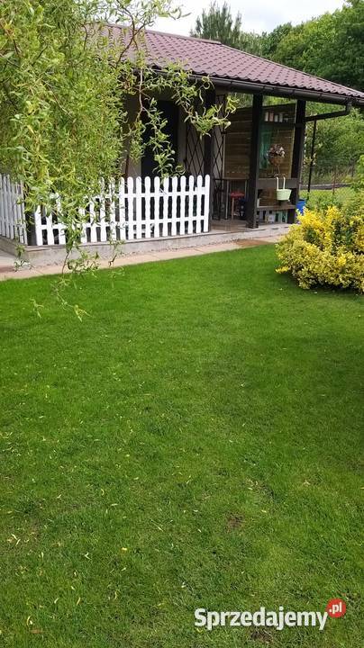 Działka ROD Tamel ogródek działkowy Tarnów