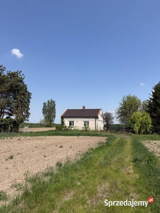 Siedlisko z lasem i łąką Zawady gm Kampinos Sprzedaż sprzedam