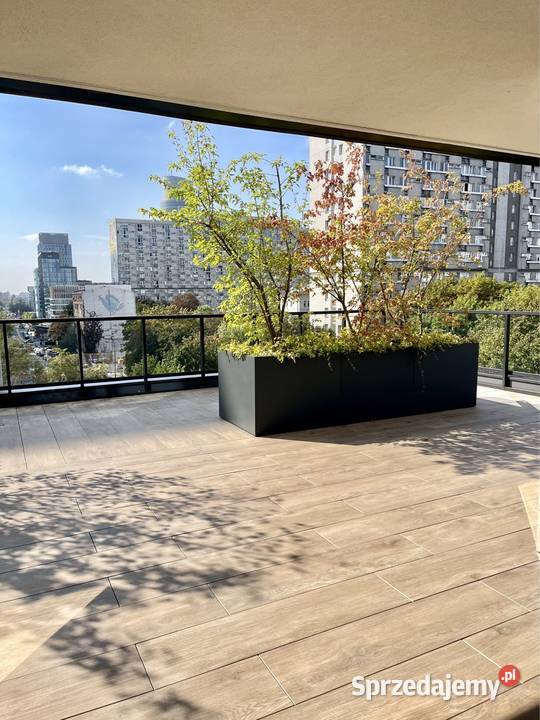 Do wynajęcia mieszkanie Grzybowska 37 Warszawa