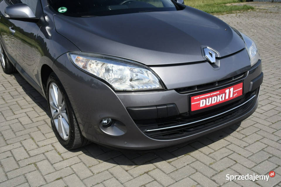 Renault Megane 19dci DUDKI11 diesel Kutno