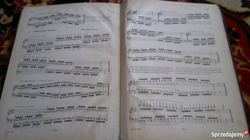 Nuty satre niemieckie Pozostałe